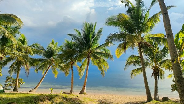 Top esim options to enhance your north america travel experience